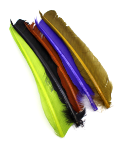 Explore our amazing range of Hareline Turkey Biot Quills Hareline . Unique  Designs You'll Not find anywhere else